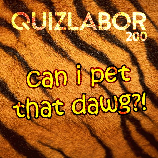 Can i pet that dawg?!